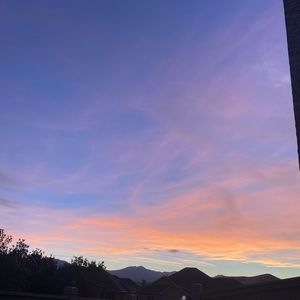 Meet your Posher, Lilli